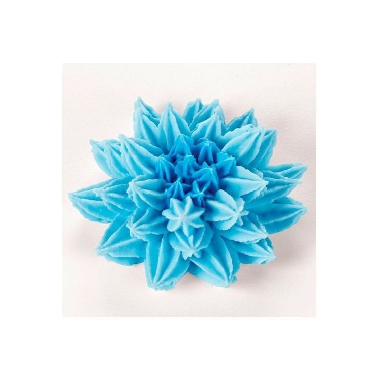 Duya Estrella abierta No. 14